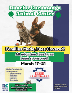 Pet adoption flyer